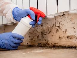 Best Airborne Mold Testing  in Bloomingdale, TN